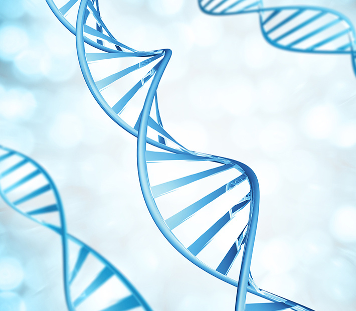 生物工程 生物工程