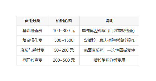 鼻内窥镜检查费用概览