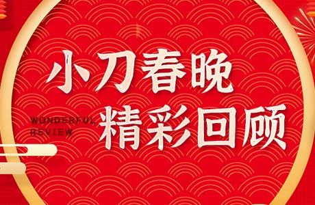 干票大的！春晚“刷屏”内幕