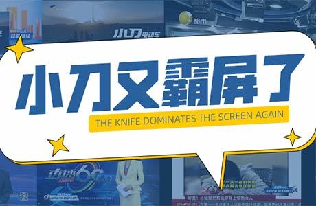 @所有人，小刀喊你看电视啦