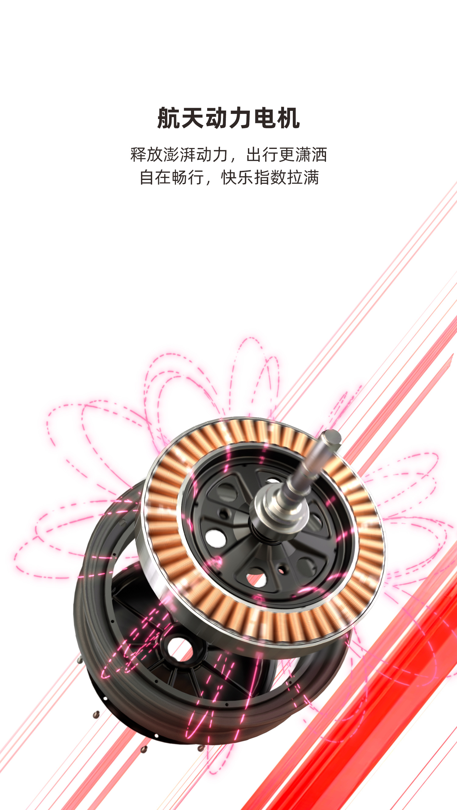 电机
