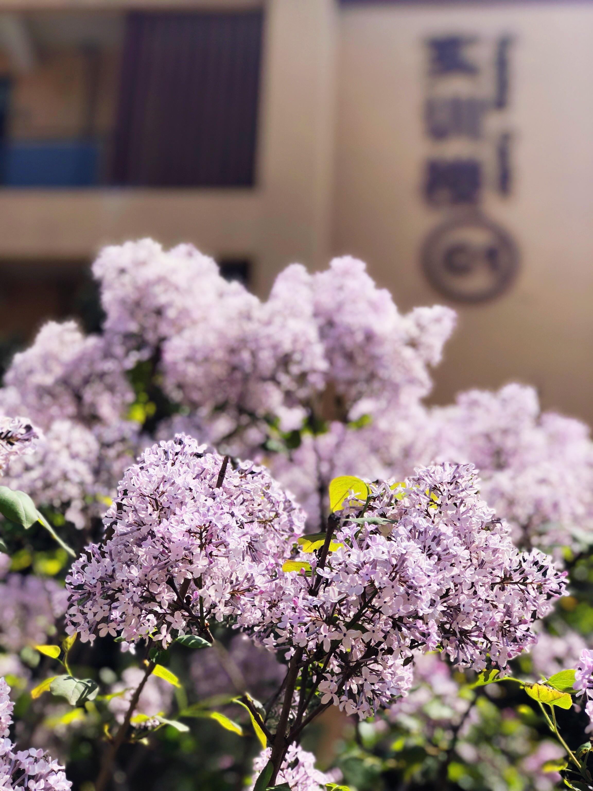 2024年7月22日办学条件达标工作专题会议