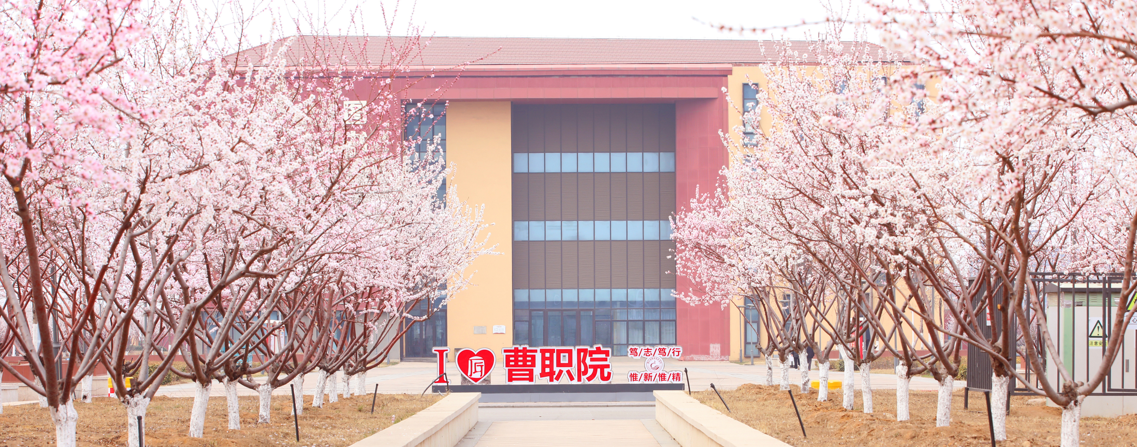 图片名称