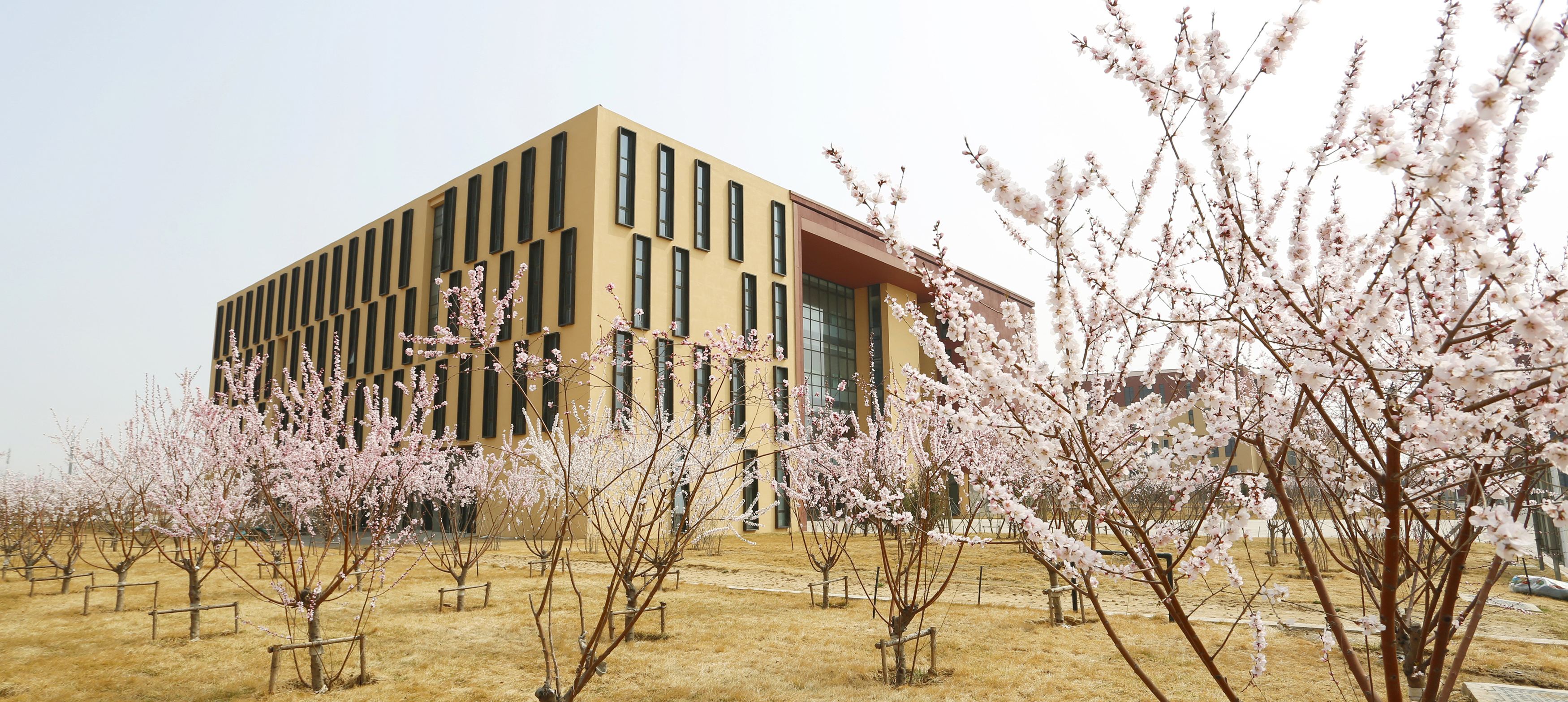 管理学院 管理学院