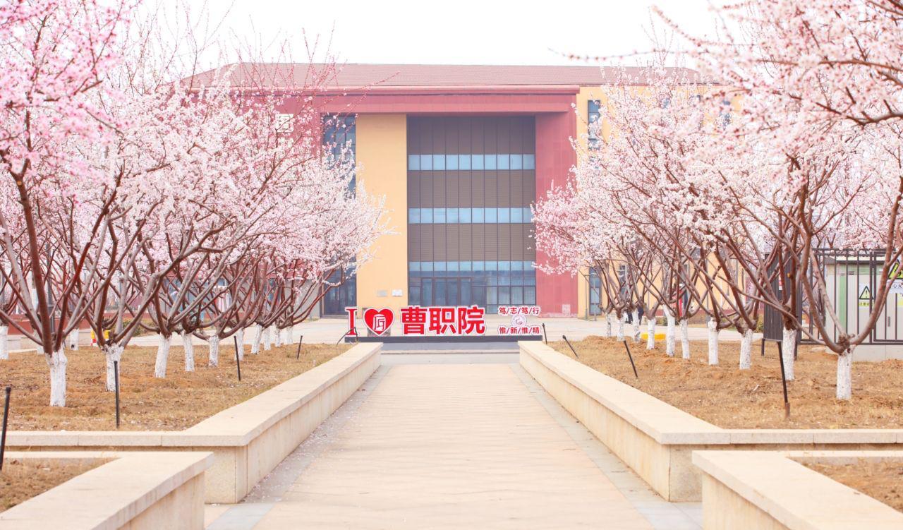 学校新闻