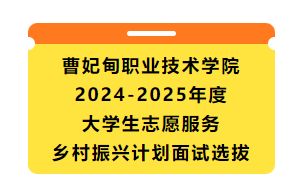 曹妃甸职业技术学院2024-2025年度大学生志愿服务乡村振兴计划面试选拔