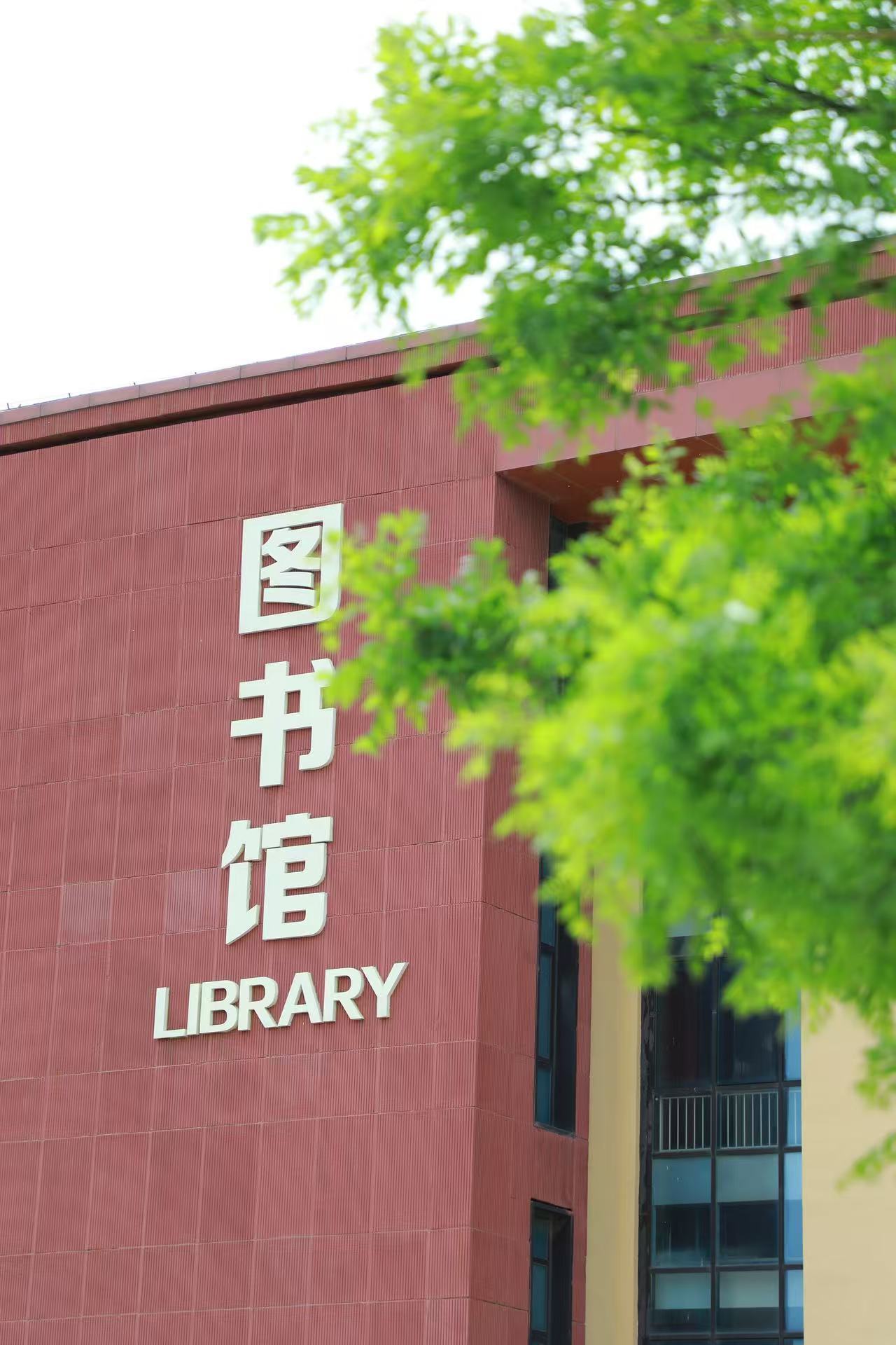开馆时间