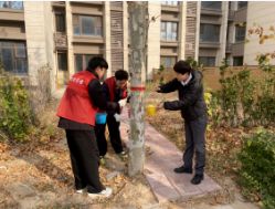 青春热血铸志愿，爱心行动绘华章||12月5日国际志愿者日