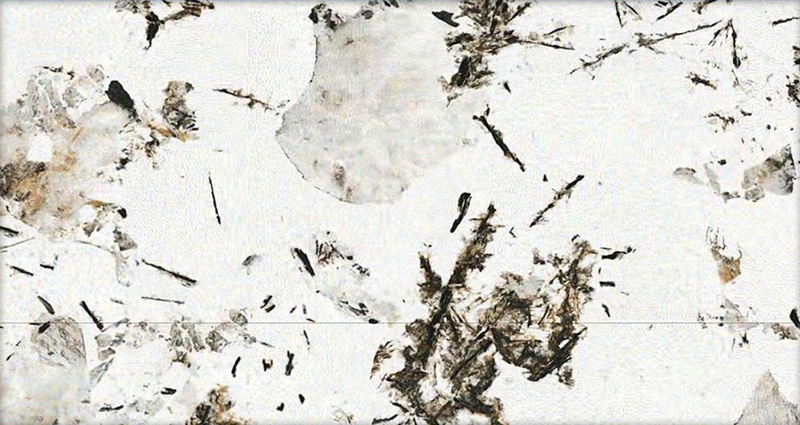 雪山银狐 23雪山银狐