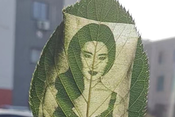 成品