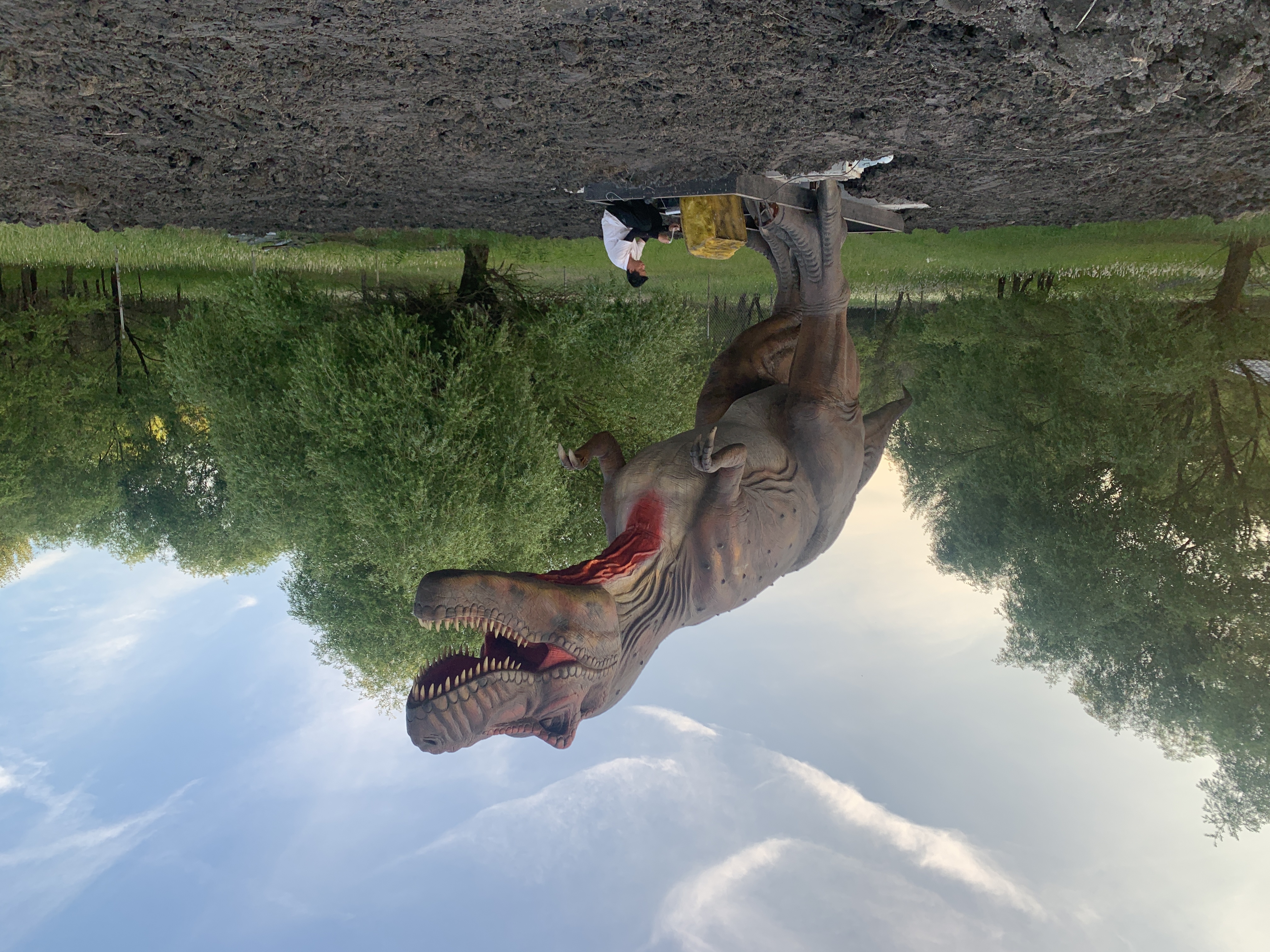 Life-Size Outdoor Remote Control Robot Dinosaur Realistic Animatronic Amusement Park Rides Shopping Malls Airports Daycares