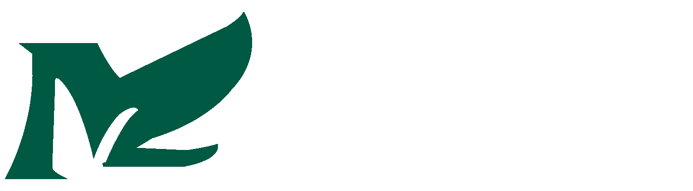 金輪鋼絲