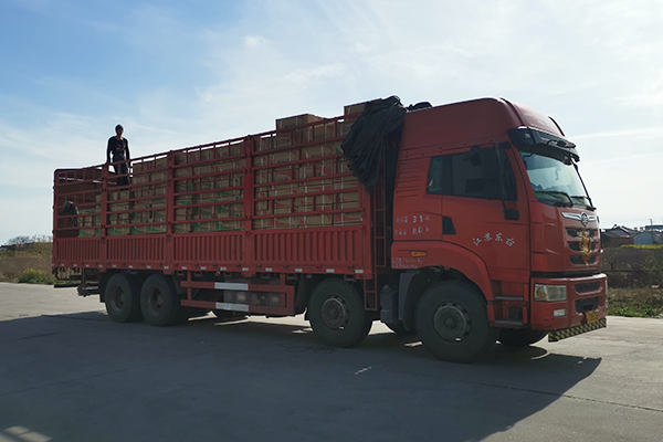 Shipment