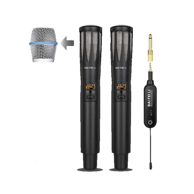 TA200B Dual Professional Wireless Microphone