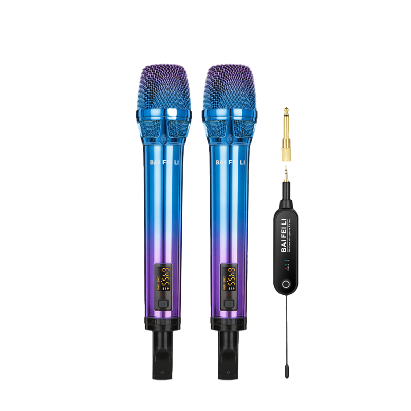 TA98B Dual-Channel Professional Wireless Microphone