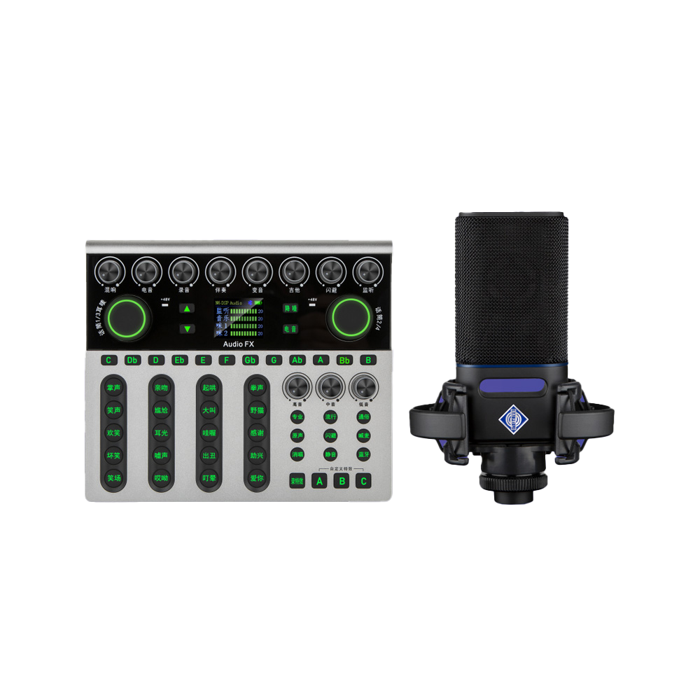 AUDIO FX + Fangdong professional live broadcast sound card set