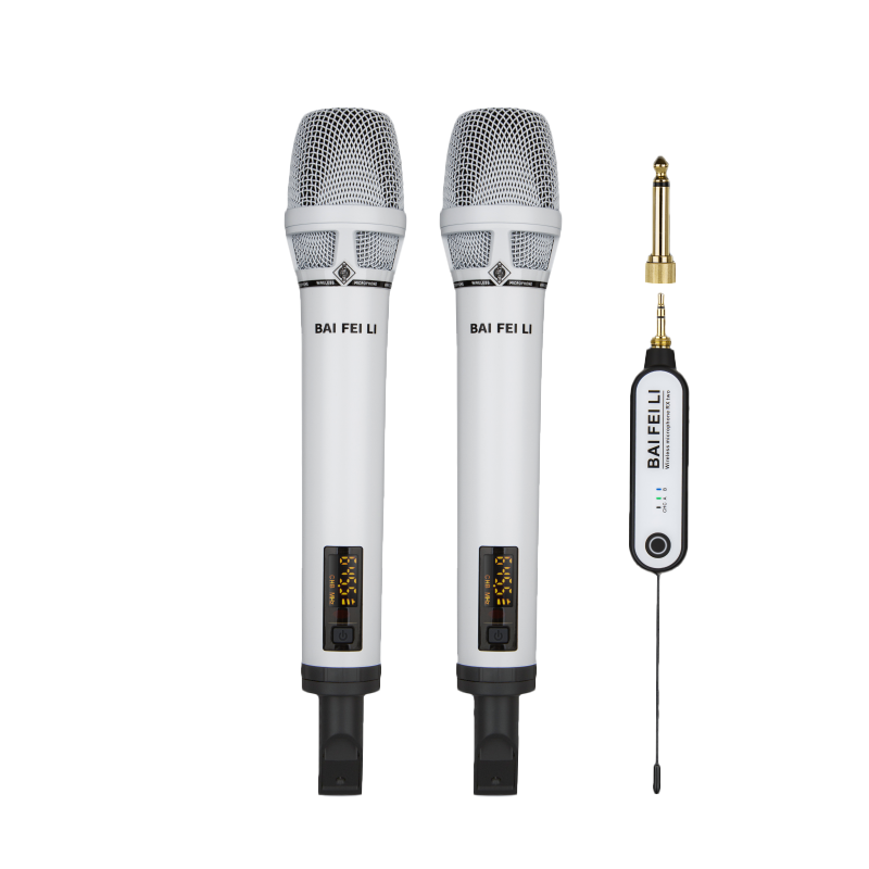 TA100B Dual-Channel Professional Wireless Microphone