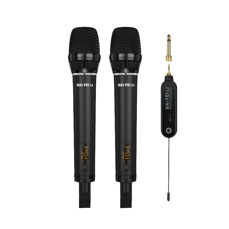 TA300B Dual-Channel Professional Wireless Microphone