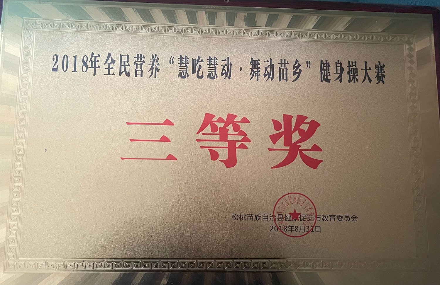 2018年全民营养“慧吃慧动，舞动苗乡”健身操大赛三等奖