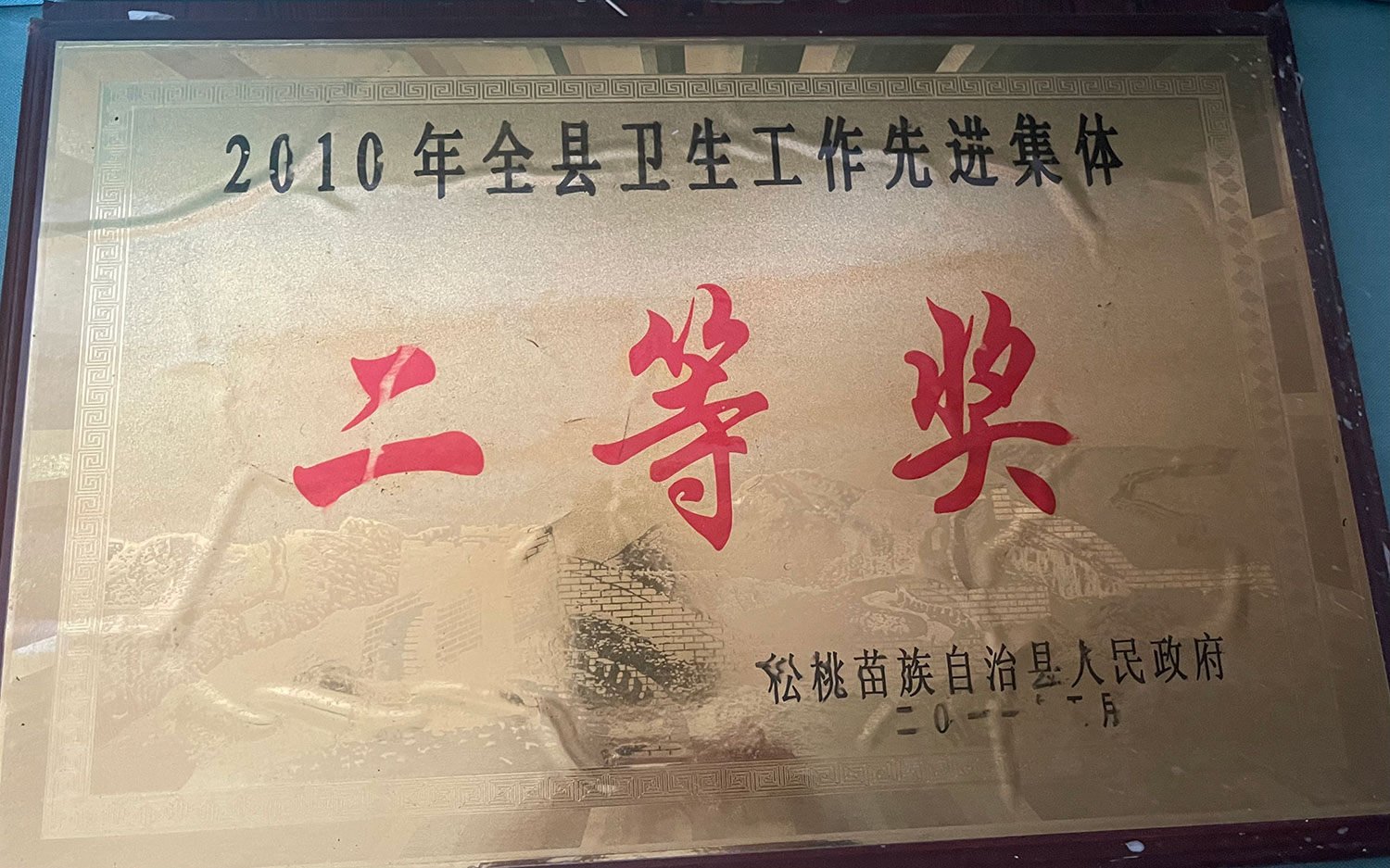 2010年全县卫生工作先进集体二等奖