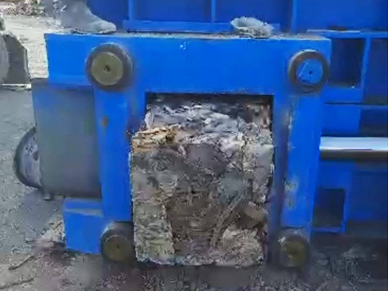Case