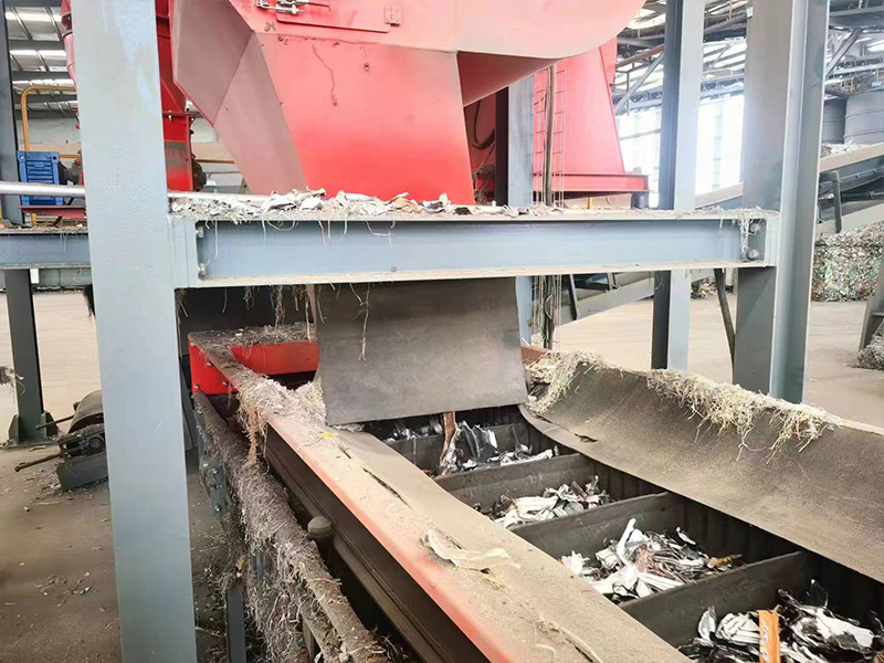 X-Ray SorterColor Sorter