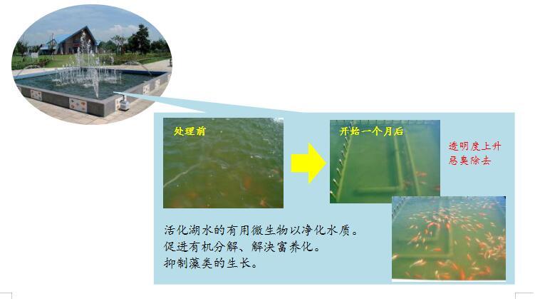 RTO蓄熱焚燒