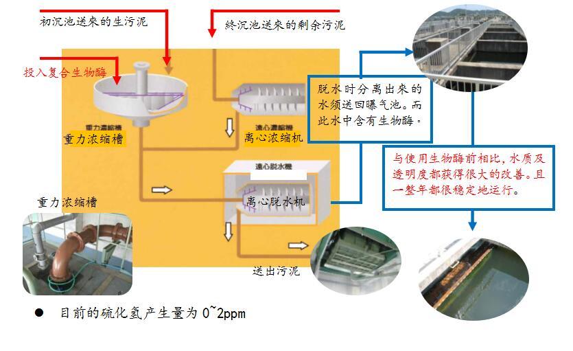 催化燃燒