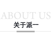 派一液压