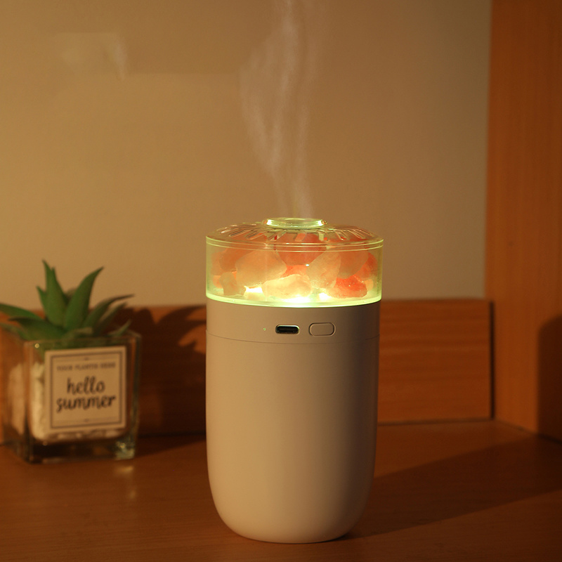 Humidifier with salt stone