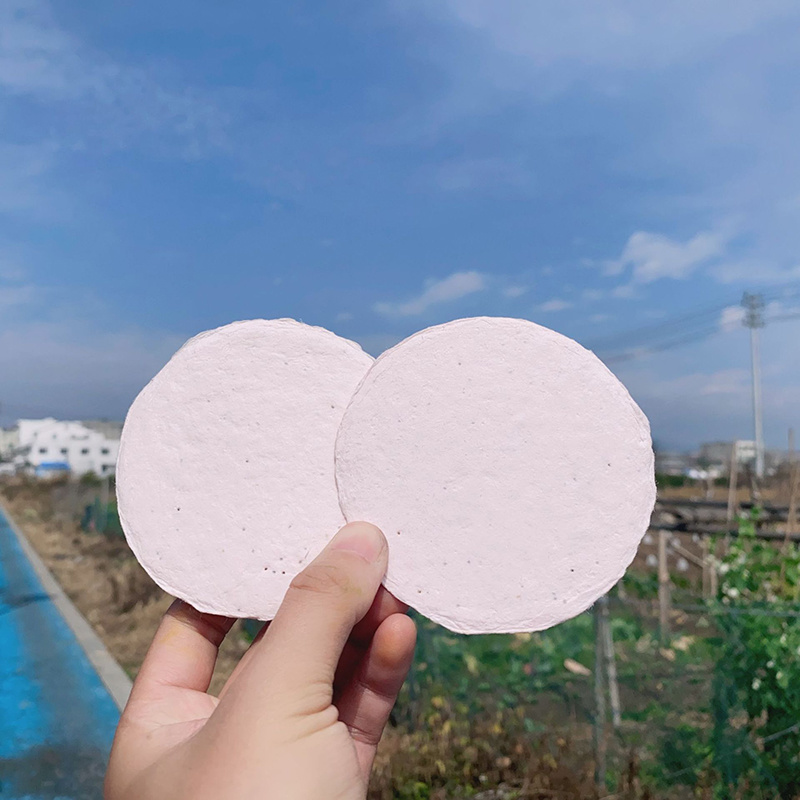 Seed Paper Coasters