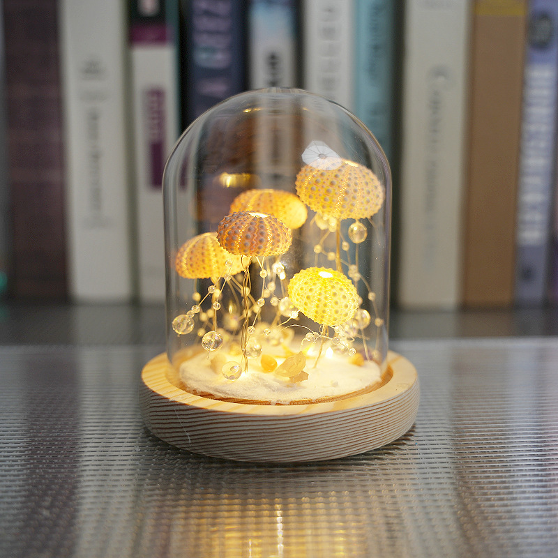 Sea urchin shell handmade night light