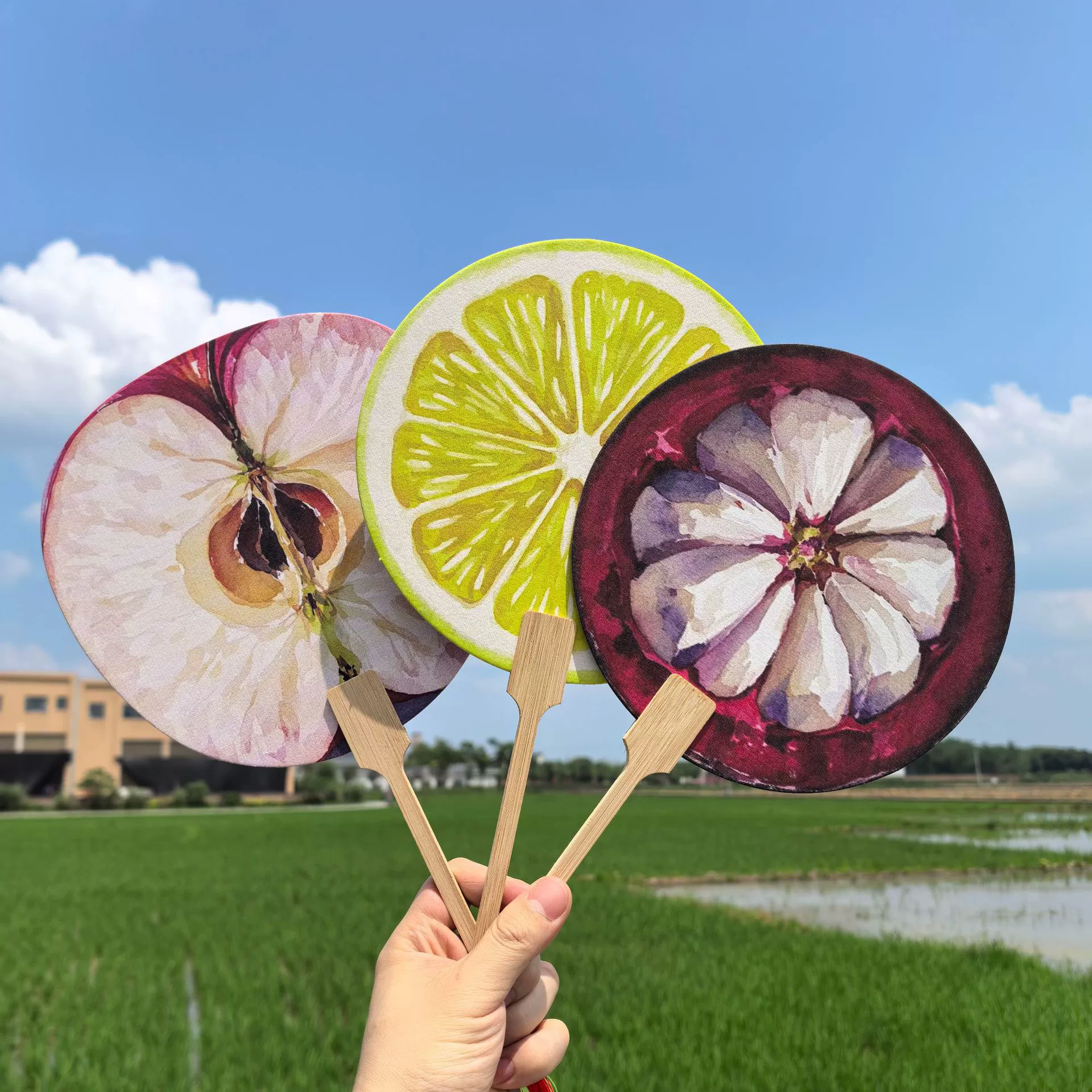 Fruit-patterned rice paper fan