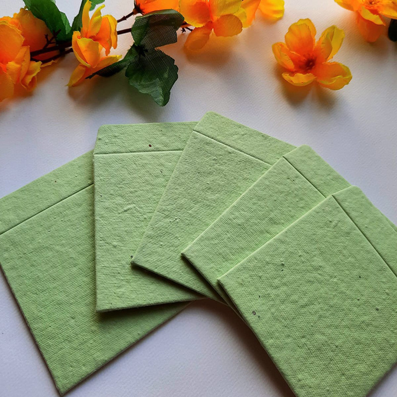 Seed paper envelope