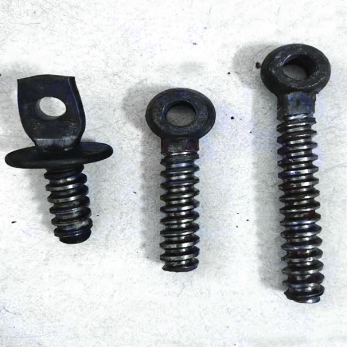 Ladder hanging ring bolt