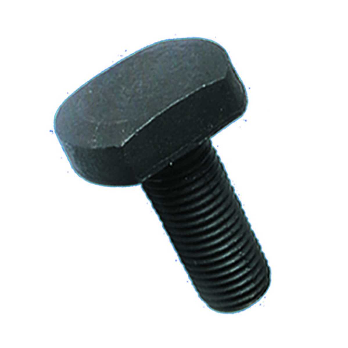 Big head T-bolt