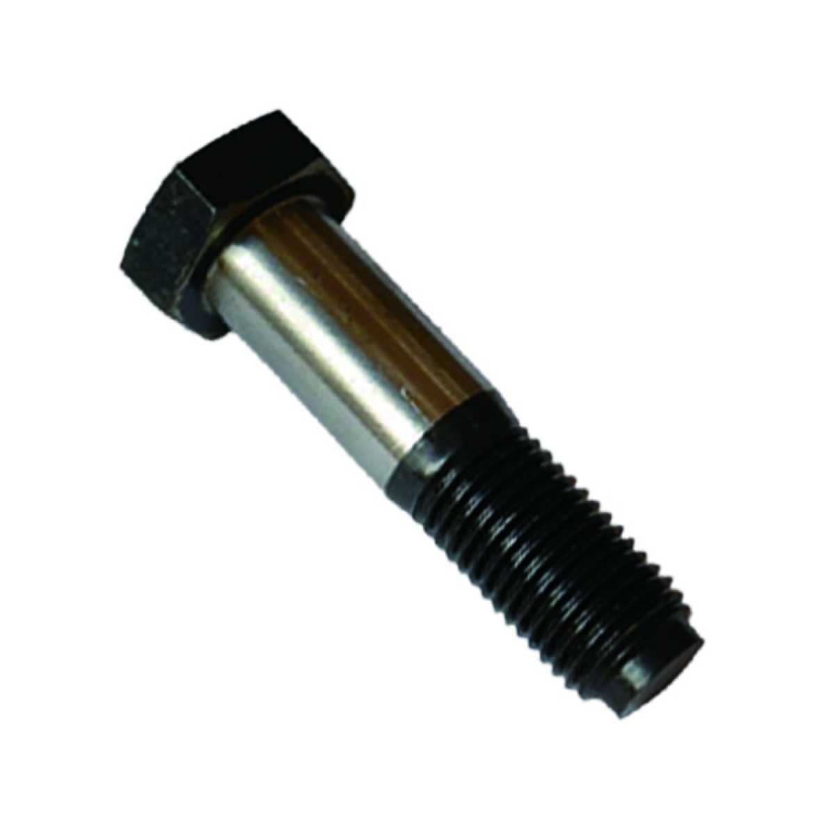 Hinged hole bolt