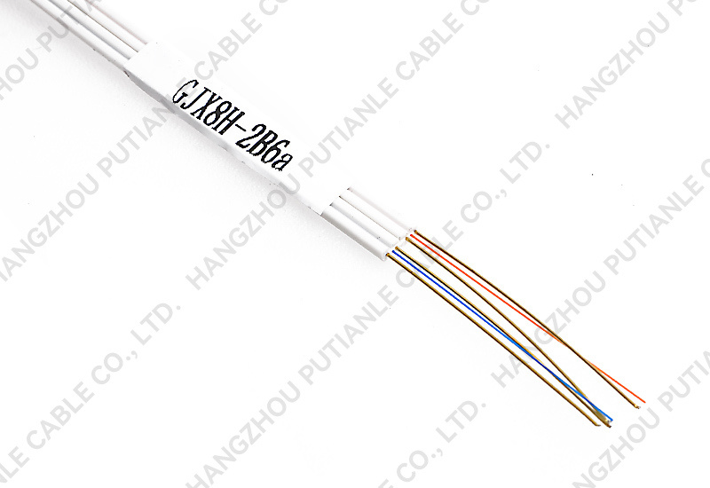 GJX8H-2B6a