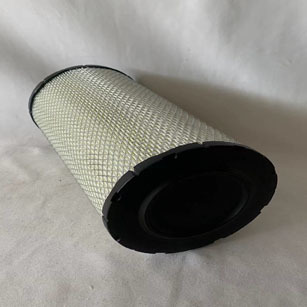 Air Filter AF25795.CA9504.C16324