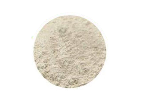 Anaerobic bacterial powder