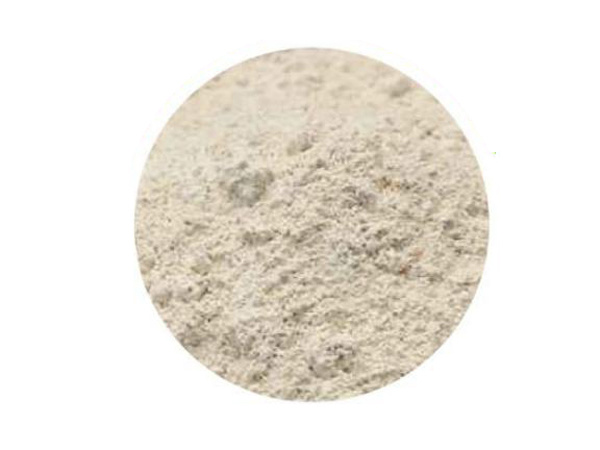 Deodorizing bacterial powder