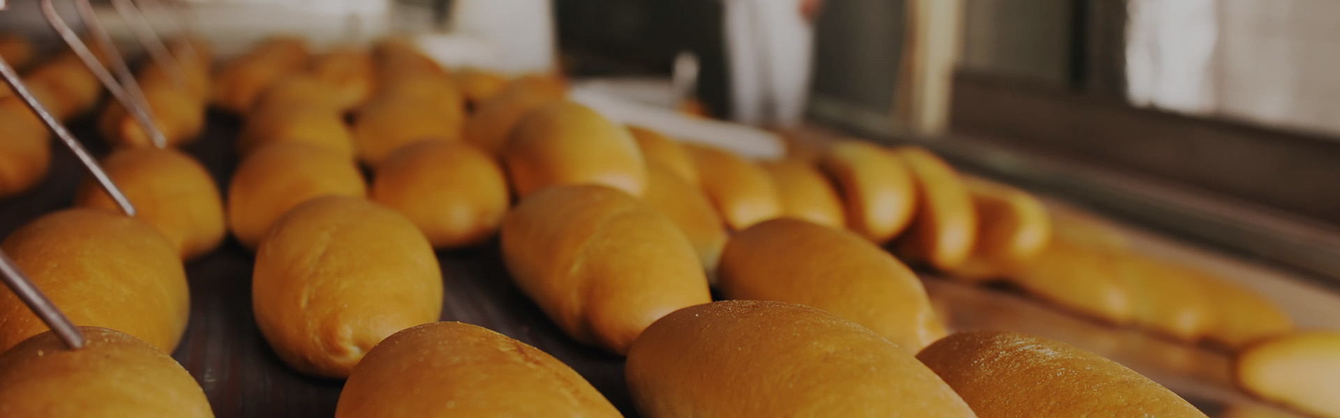 Washing Solutions for Food Industry