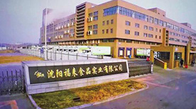 Shenyang Fulai Food Shenyang Fulai Food