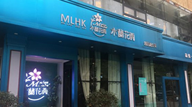 Mulan blooms in Nantong, Jiangsu Mulan blooms in Nantong, Jiangsu
