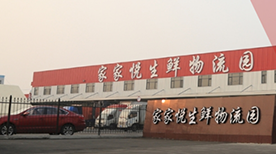 Shandong Jiajiayue Logistics Shandong Jiajiayue Logistics