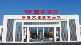 Tongfu Group Tongfu Group