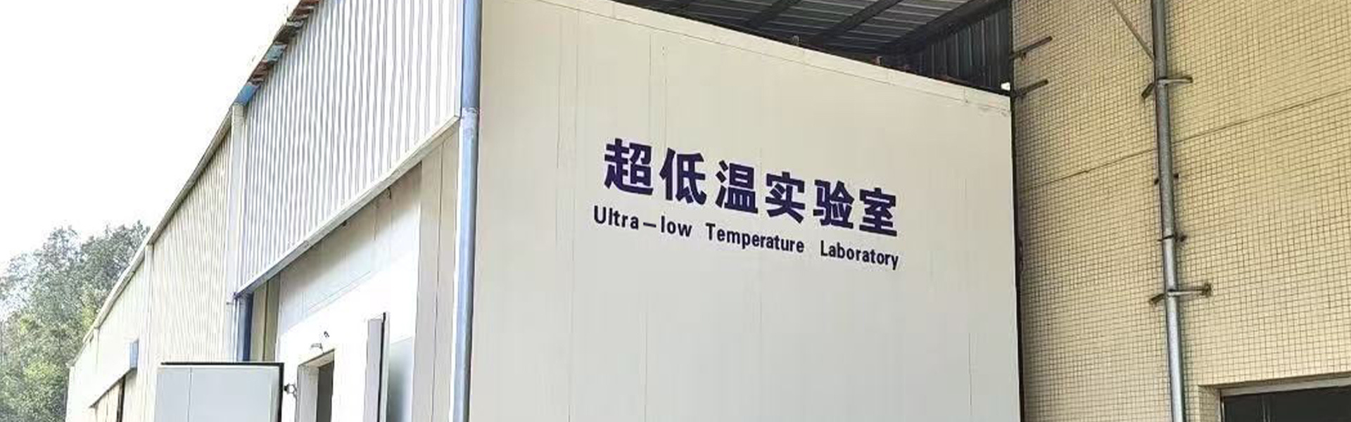 成功案例