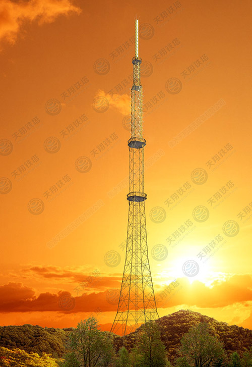 Case Study of the Broadcasting and Television Transmission Tower Project in Guangde County, Anhui Province