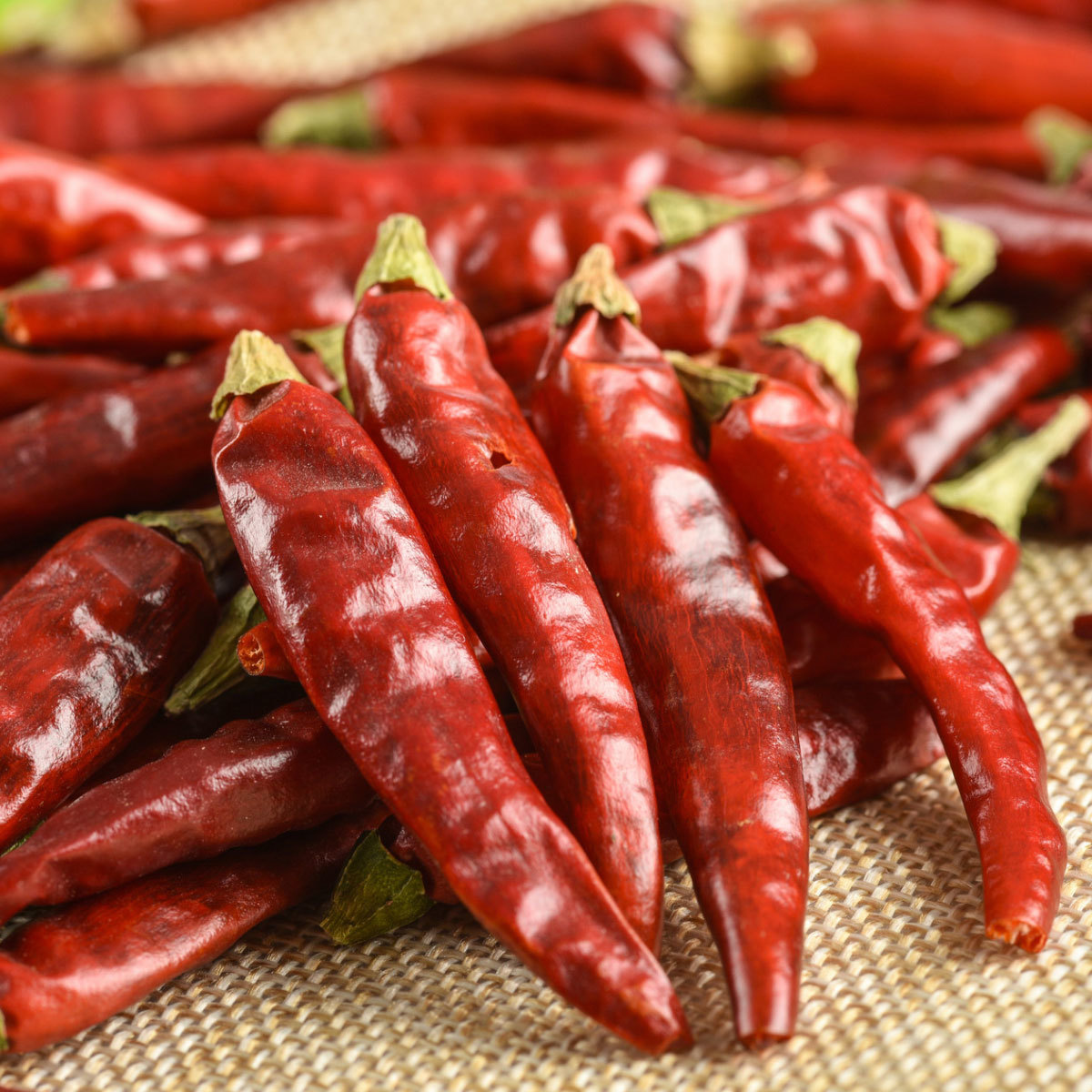 Dried chili Dried chili