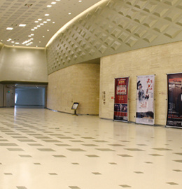 Nanjing youth Olympic center